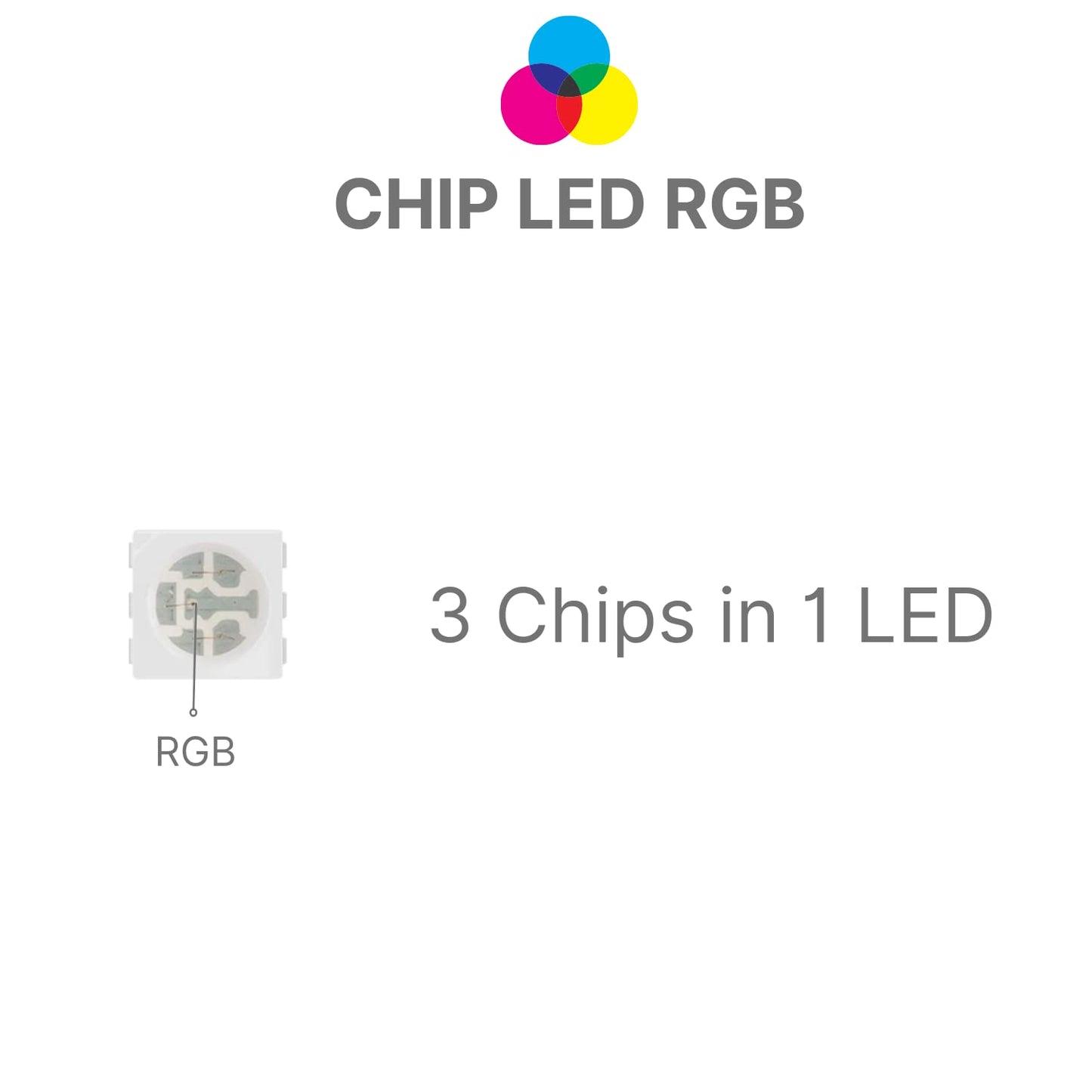 5050 RGBW RGB+Bianco Freddo (6000K) 4 colori in 1 LED 5M 60 LEDs / m