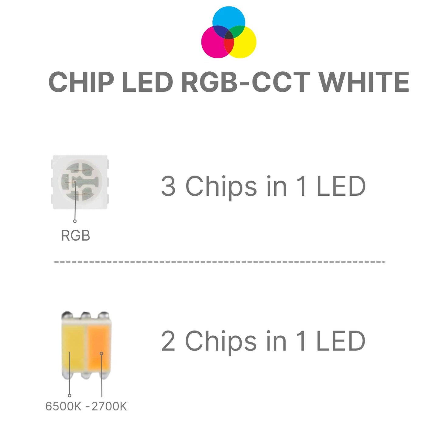 5050 RGBW RGB+Bianco Freddo (6000K) 4 colori in 1 LED 5M 60 LEDs / m