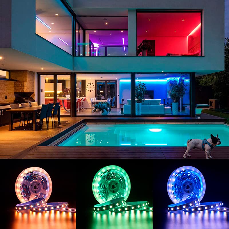 5050 RGBW RGB+Bianco Freddo (6000K) 4 colori in 1 LED 5M 60 LEDs / m