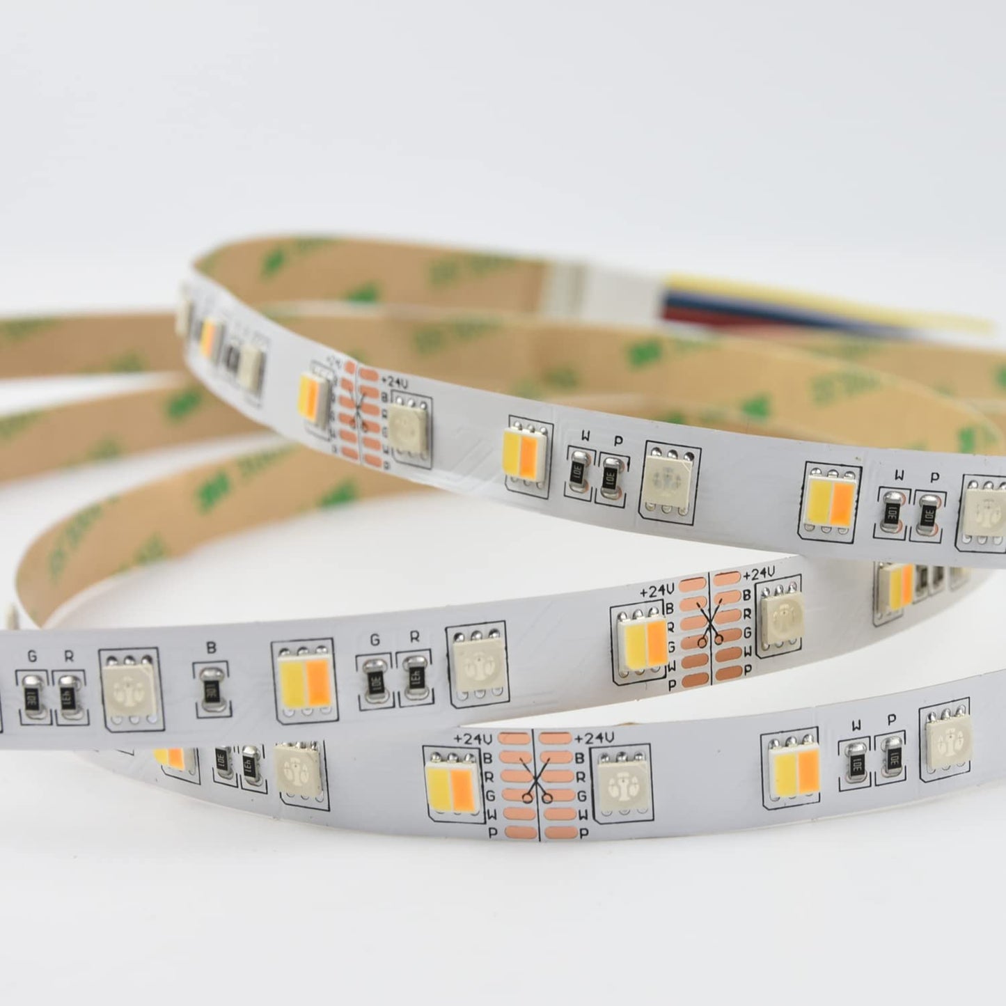 5050 RGBW RGB+Bianco Freddo (6000K) 4 colori in 1 LED 5M 60 LEDs / m