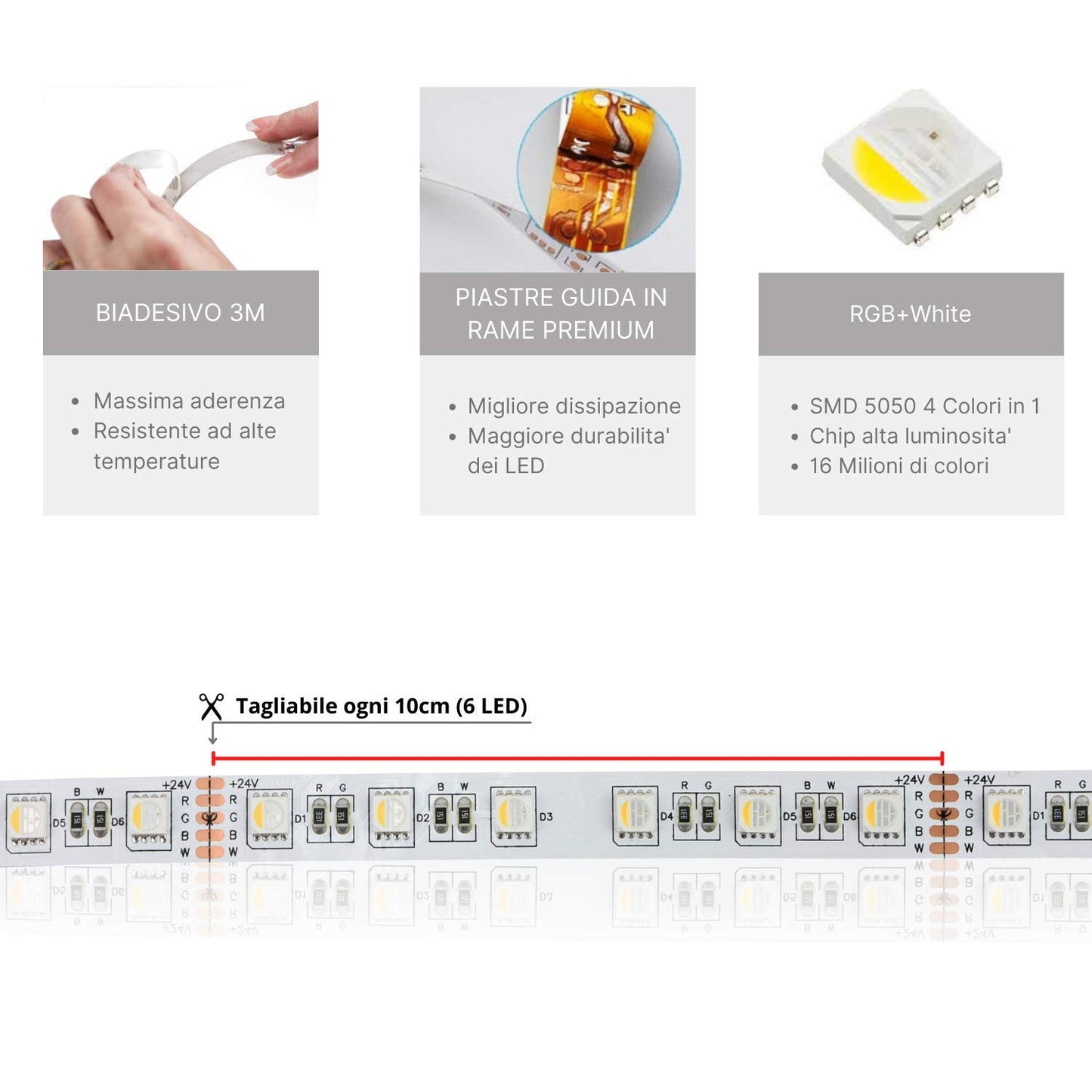5050 RGBW RGB+Bianco Freddo (6000K) 4 colori in 1 LED 5M 60 LEDs / m