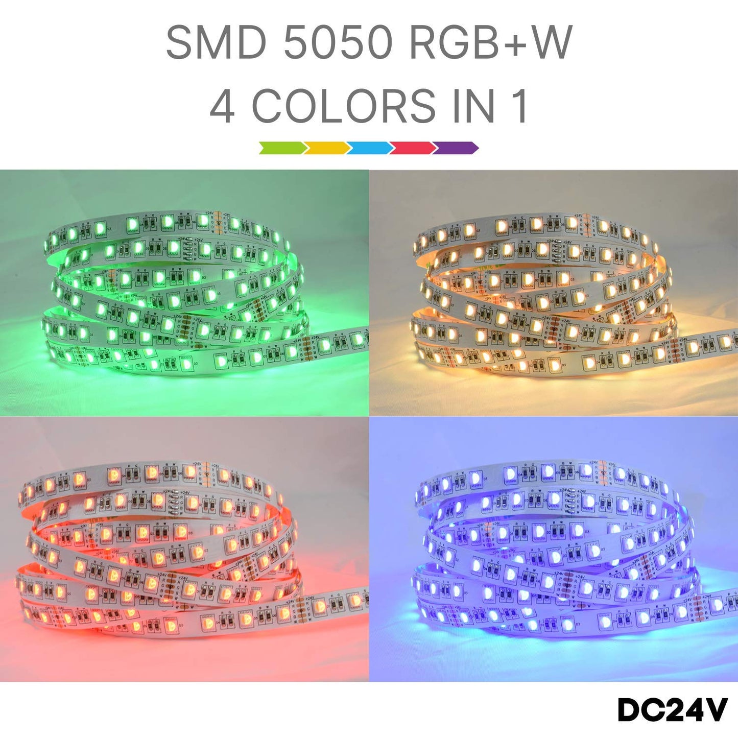 5050 RGBW RGB+Bianco Freddo (6000K) 4 colori in 1 LED 5M 60 LEDs / m
